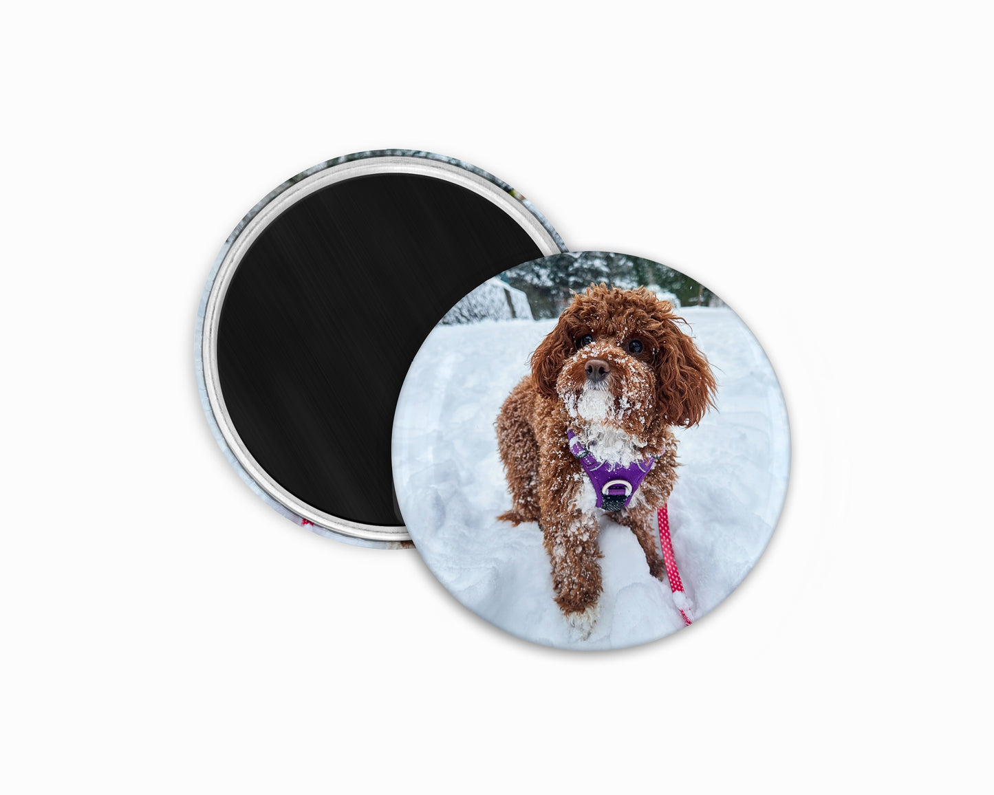 2.25" Round Custom Photo Magnets