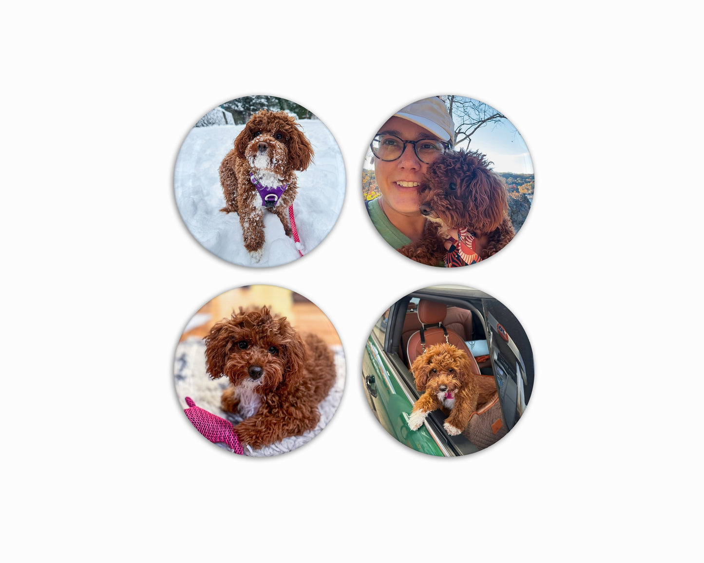 2.25" Round Custom Photo Magnets