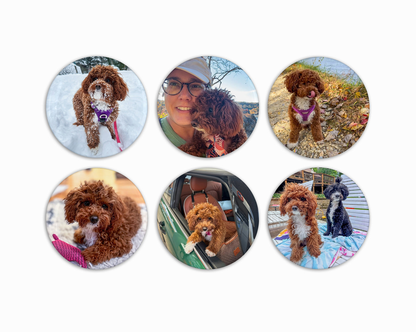 2.25" Round Custom Photo Magnets